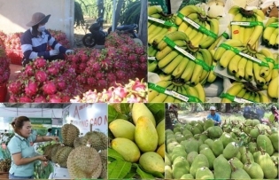 Eight-month fruit and vegetable exports earn close to US$4.6 billion