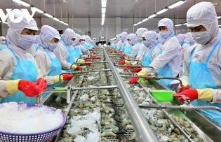 Vietnam represents third largest seafood exporter globally