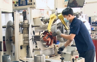 Binh Duong innovates its way of attracting foreign investment