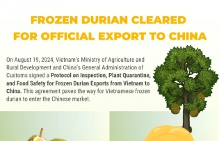 Frozen durian cleared for official export to China