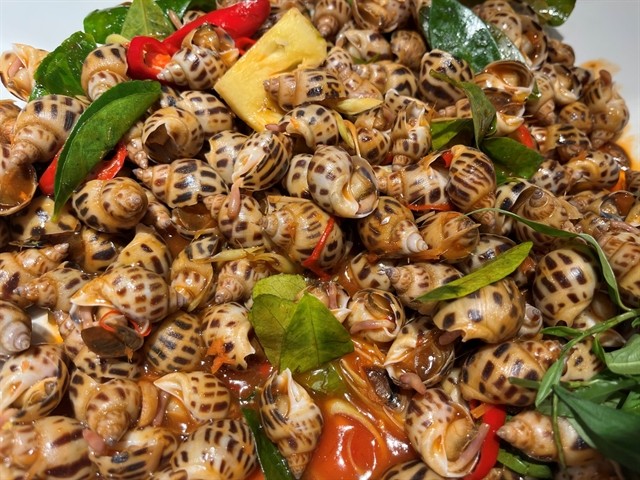 Steamed spotted Babylon snails with lemon leaves are among top options by foodies. Photo buffetposeidon.com Steamed spotted Babylon snails with lemon leaves are among top options by foodies. Photo buffetposeidon.com