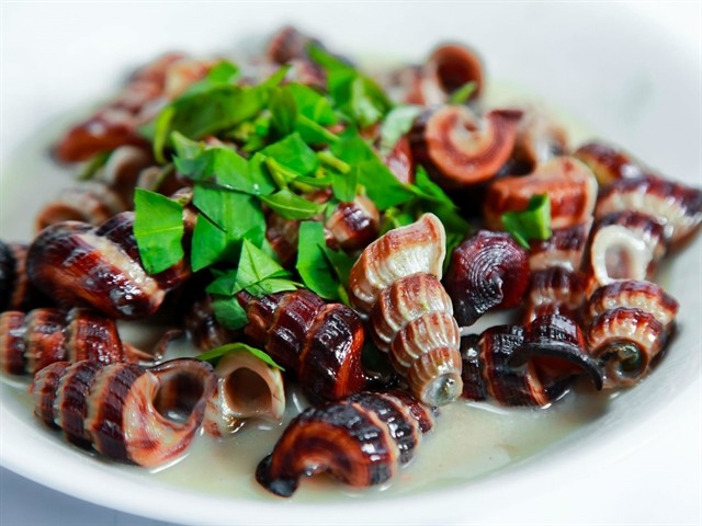 The dish is made by cooking mud creeper sea snails in coconut milk with fresh spices such as lemongrass, coriander, chilli, and garlic.  Photo anhp.vn The dish is made by cooking mud creeper sea snails in coconut milk with fresh spices such as lemongrass, coriander, chilli, and garlic.  Photo anhp.vn