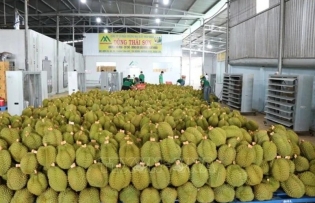 China's door opened wide for Vietnamese agricultural product exports