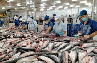 Vietnam emerges as second largest supplier of whitefish to US
