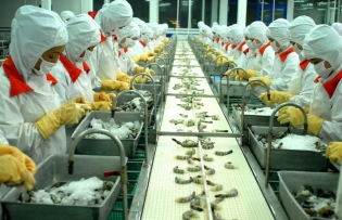 CPTPP boosts Vietnam’s seafood exports to Australia