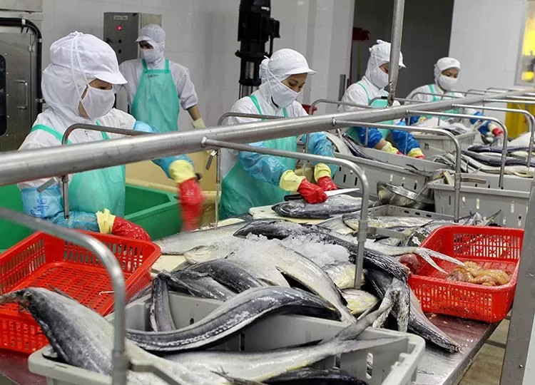 Vietnamese businesses should be aware of specific standards and regulations of Australia - photo: Trung Chanh