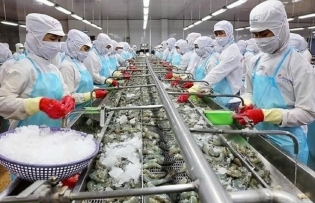 US becomes largest consumer of Vietnam’s agro-forestry-fishery products