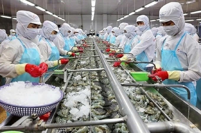 Seafood remains one of Vietnam's key export items. (Illustration)