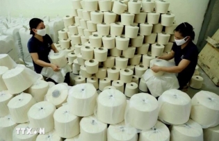 Vietnam imposes anti-dumping duty on polyester yarn imports