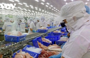 Eight-month trade surpasses US$500 bln mark, trade surplus hits US$20 bln