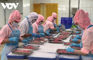 Vietnamese seafood exports hit US$6.3 billion during eight-month period
