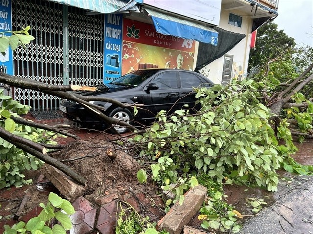 Trees along Võ Nguyên Giáp Street, Nam Định City, are uprooted. VNA/VNS Photo Công Luật