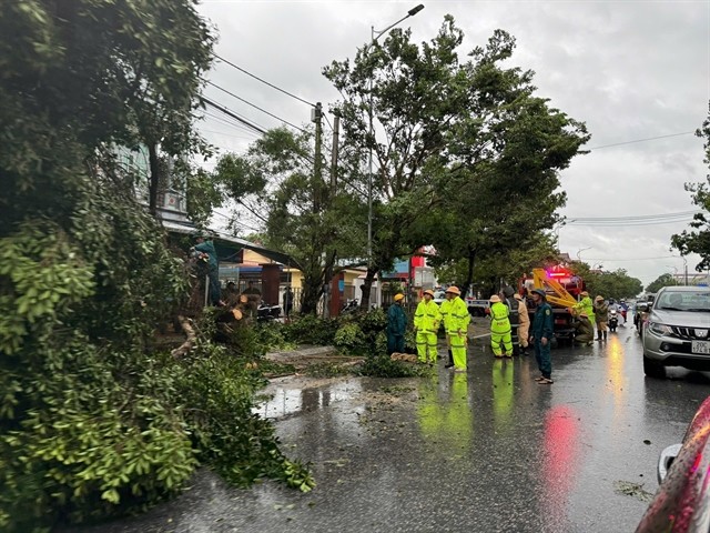 Authorities handle fallen trees to ensure traffic flow on National Highway 3, located in Sông Công City, Thái Nguyên Province. VNA/VNS Photo Thảo Nguyên