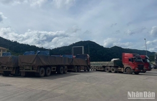 Vietnam-Laos trade hits 1.1 billion USD in first seven months