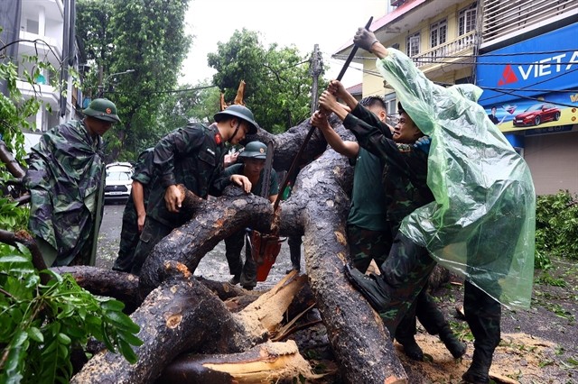 Soldiers tidy up fallen trees on Hàn Thuyên Street in Hai Bà Trưng District, Hà Nội. — VNA/VNS Photo Huy Hùng