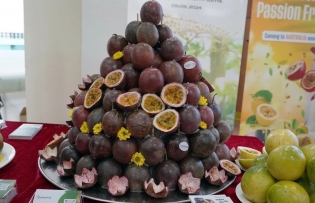Vietnamese passion fruits enter Australian market
