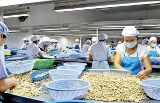 Agro-forestry-aquatic exports likely to bring in US$55 billion this year