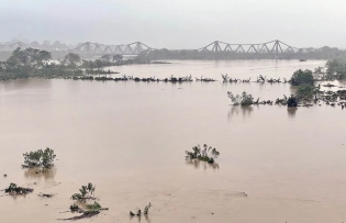 Red River floods exceed Alert Level 2, disaster risk elevated in Hà Nội