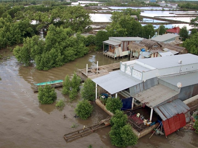 Houses designed to withstand climate change in the coastal province of Cà Mau. — VNA/VNS Photo