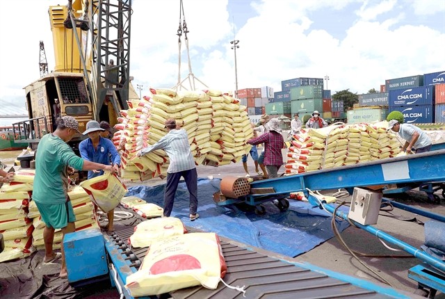 Việt Nam exported 6.16 million tonnes of rice in the first eight months of this year. —VNA/VNS Photo