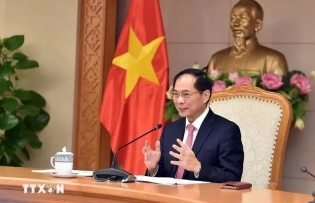 Vietnam, Egypt seek stronger cooperation