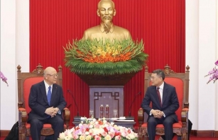 Vietnam treasures comprehensive strategic partnership with Japan: Party official