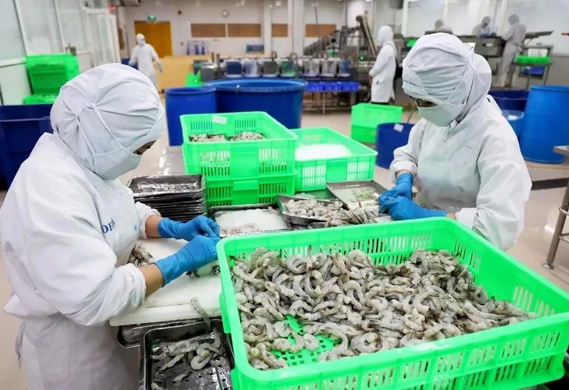 Workers process shrimp for export at Duyen Hai Economic Development Company in Ho Chi Minh City. (Photo: VNA) Workers process shrimp for export at Duyen Hai Economic Development Company in Ho Chi Minh City. (Photo: VNA)