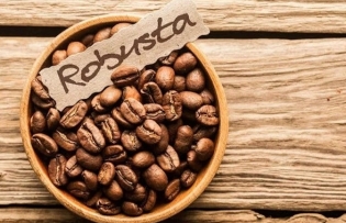Export price of Vietnamese Robusta coffee beans shoots up globally