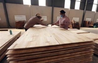 Việt Nam initiates anti-dumping investigation on wood fibre boards from Thailand and China