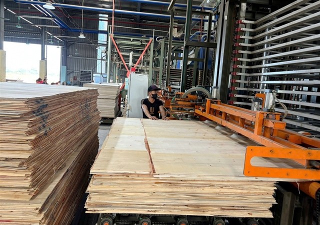 The Sao Việt wood and plywood factory in Tuyên Quang Province, under Sao Việt Tuyên Quang Co Ltd, resumed operations after the floodwaters receded. — VNA/VNS Photo