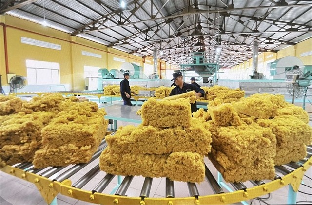 Packing processed rubber products. The export markets now have many requirements on environmental protection for Việt Nam's rubber export products. — VNA/VNS Photo