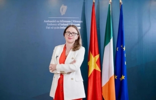 Ireland wants to bolster cooperation with Vietnam: Ambassador