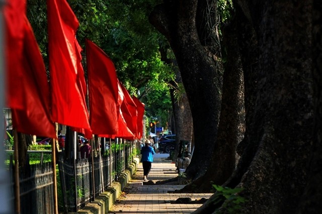 A colourful display of flags on a street. A colourful display of flags on a street.