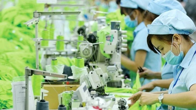 Increasing green production and exports is an irreversible trend.