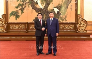 Vietnamese, Chinese Parties strengthen relations