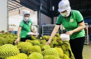 Việt Nam's trade turnover poised to hit $800 billion mark