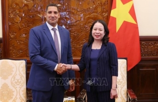 Vice President calls on Sweden to share development experience with Vietnam