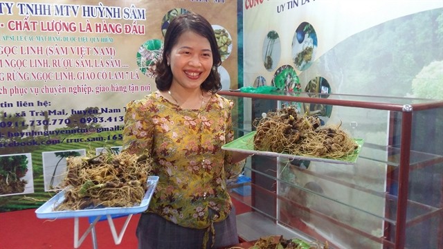 A woman offers Ngọc Linh ginseng roots at monthly ginseng fair in Nam Trà My District of Quảng Nam Province. The province plans to host the first ever International Ngọc Linh Ginseng Festival in 2025. — VNS Photo Công Thành