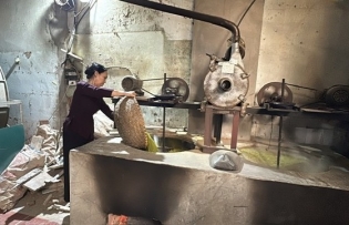 Delicacy of Hà Nội’s autumn