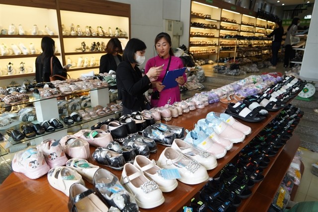 Phú Yên leather shoes. — VNS Photo