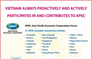 Vietnam actively contributes to APEC