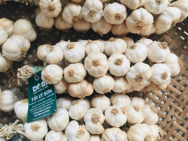 Dried garlic products of Lý Sơn Islands of Quảng Ngãi province have been selected for promotion in the US market. — Photo courtesy of Dori company