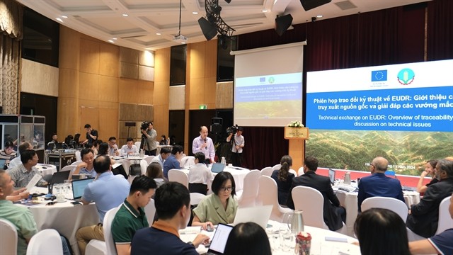 Delegates at the workshop. — VNS Photo Tố Như