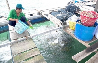 Significant progress in fisheries' environmental protection but challenges remain