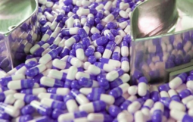 The total value of hard capsule shells the US imported from Việt Nam in 2023 was approximately US$26 million. — Photo vneconomy.vn