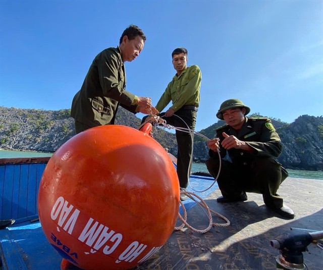 Staff at the Cát Bà National Park in Hải Phòng City prepare to release a mooring buoy into the sea in an attempt to better manage and protect coral reefs at Cát Bà Archipelago. Photos courtesy of the International Union for Conservation of Nature (IUCN)