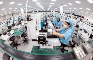 FDI remains vital contributor to boost economic growth