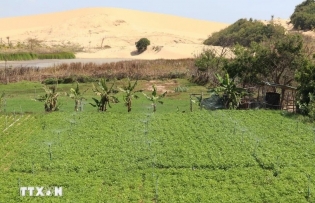 French agency ready to support Ninh Thuan in climate adaptation project