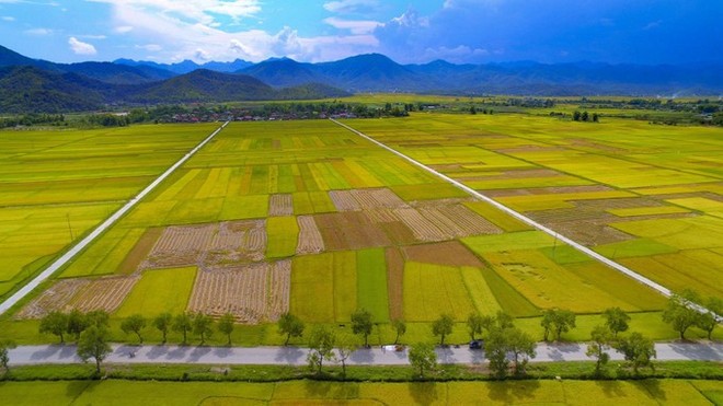 The Ministry of Finance has proposed the National Assembly extend the agricultural land tax exemption until December 31, 2030. (Photo: VNA)