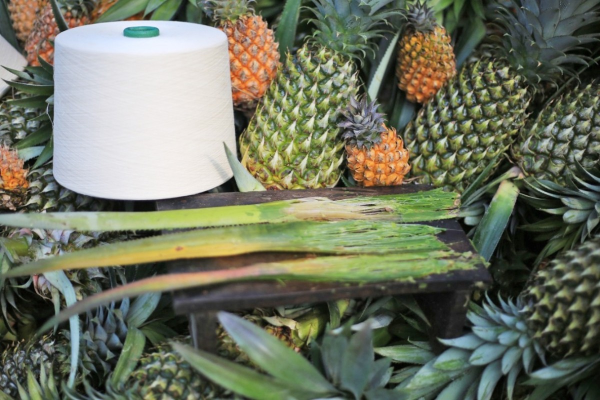 Ananas eco-fiber, made from pineapple leaves, was introduced in September 2024 